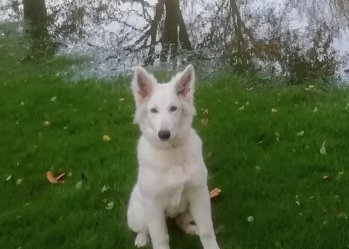 Grambo Bed & Breakfast